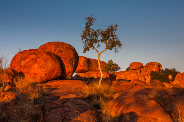 istock The Devils Marbles Conservation Reserve, Northern Territory, Australia 918935288