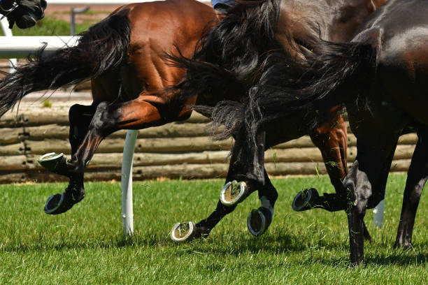 istock Horse racing action 918935440