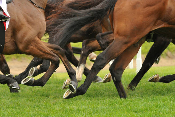 istock Horse racing action 918935484