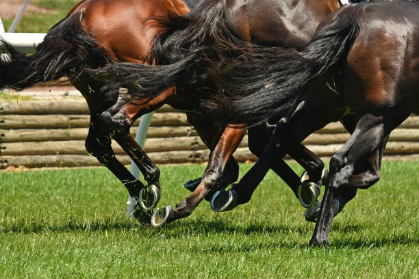 istock Horse racing action 918935594