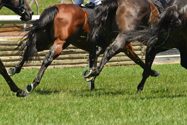 istock Horse racing action 918935632