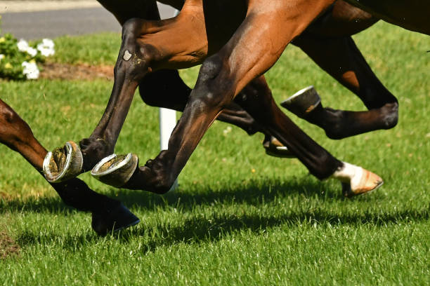 istock Horse racing action 918935666
