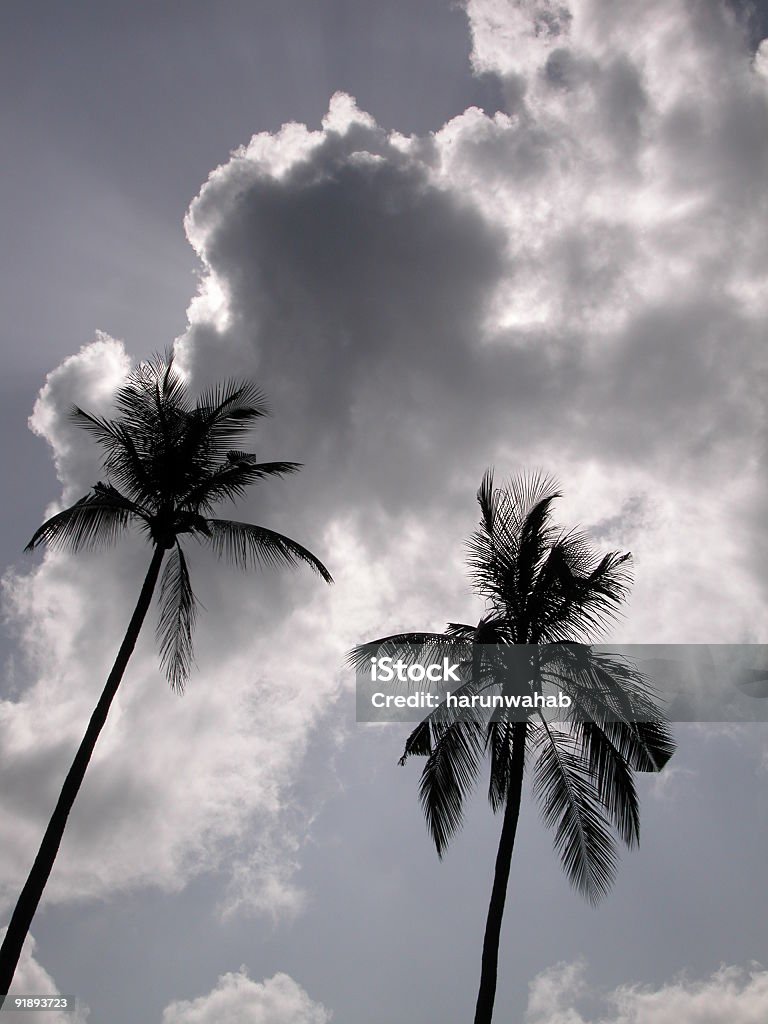 ココナッツ雲-自然の驚異 - カラー画像のロイヤリティフリーストックフォト