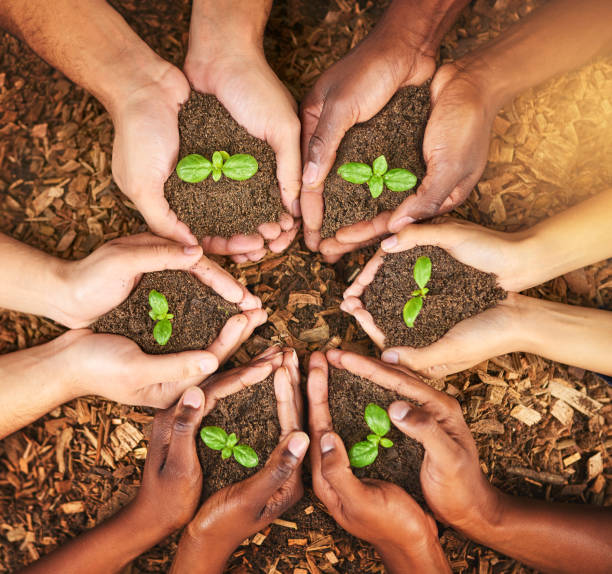 istock With teamwork comes the potential for huge growth 918938984