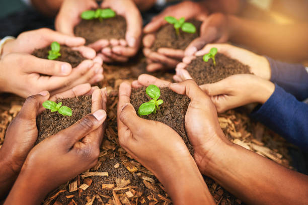 istock Success starts with a tiny little seed 918938994