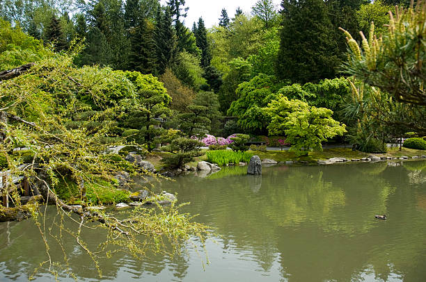 istock Japanese Garden 3 91893911