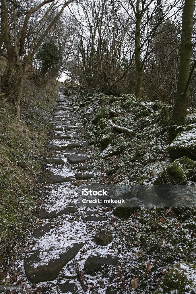 Zdalne monitorowanie w Yorkshire Krajobraz ze śniegiem - Zbiór zdjęć royalty-free (Anglia)