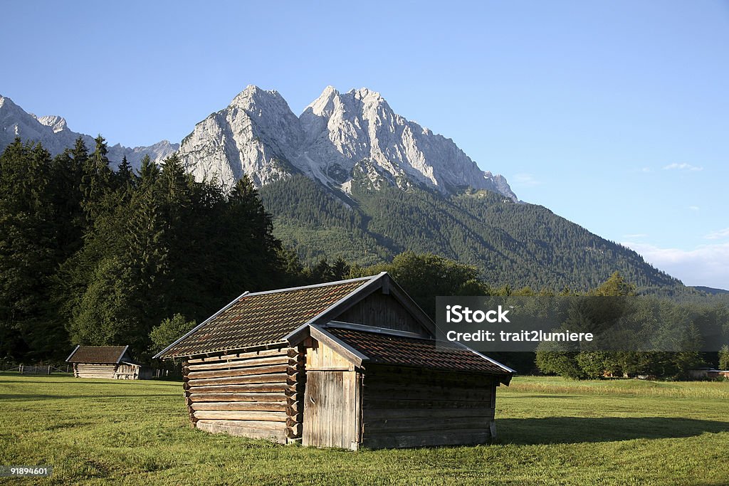 Shed nos Alpes - Foto de stock de Prado royalty-free