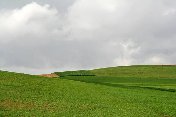 istock Green Open Farmland 91894790