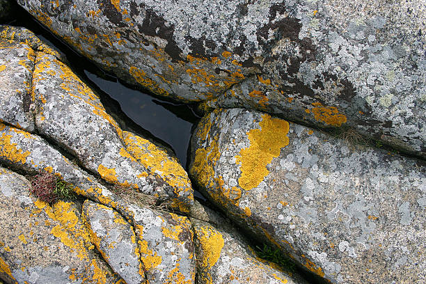 Rock Pool stock photo