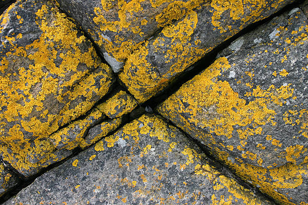 Rocks diagonal stock photo