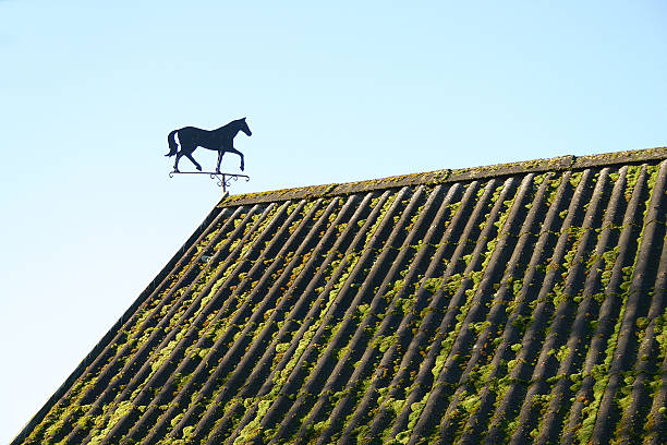 Metal horse weathervane on roof stock photo