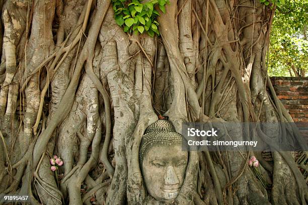 Budas De Baniano Ayuthaya En Tailandia Foto de stock y más banco de imágenes de Abrazar - Abrazar, Acorralado, Antigualla