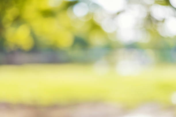 istock Abstract blurred background with green and white bokeh background 918955348