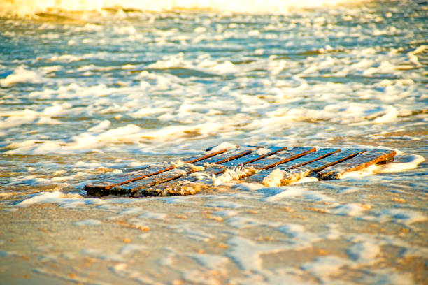 driftwood, palette at a beach of the baltic sea - surf turf imagens e fotografias de stock