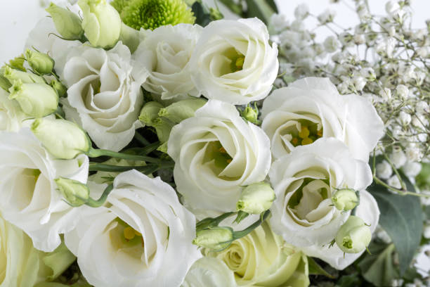 istock Close up of white roses 918960074