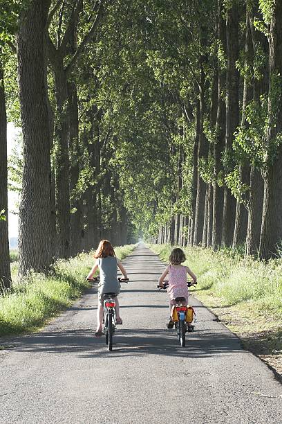 istock Sisters biking in Holland 91896126