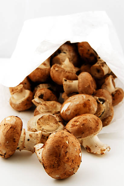 istock mushroom baby portobello 91896213