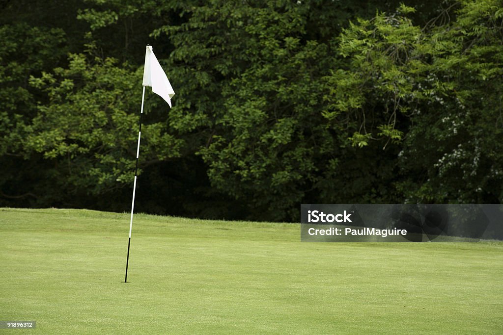 Golf auf der fahnenstange - Lizenzfrei Blasen Stock-Foto