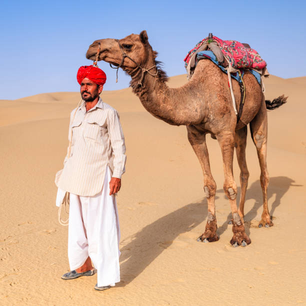 istock Indian man holding camel on sand dunes, Rajasthan, India 918970588