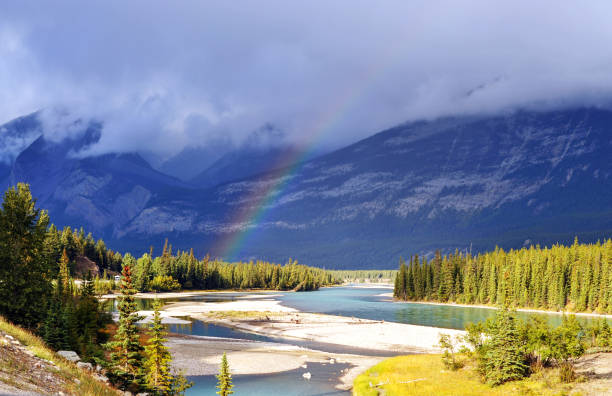 istock Athabasca River in Jasper National Park,Alberta,Canada 918973154