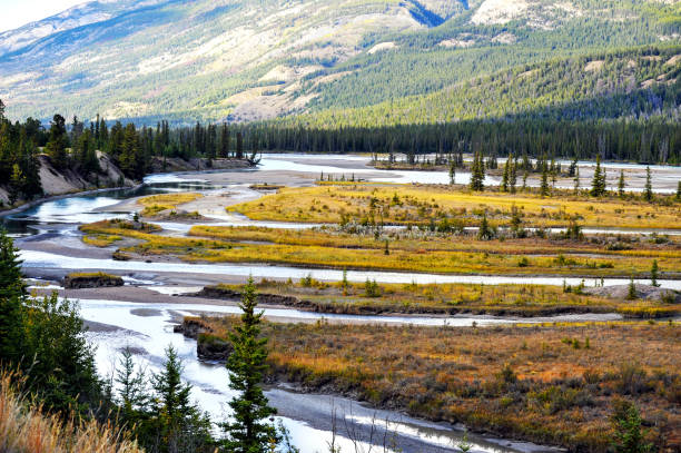 istock Athabasca River in Jasper National Park,Alberta,Canada 918973178