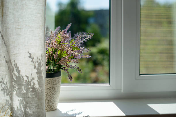 imagen de ventana con una flor en una maceta y cortina en la habitación. - window light window sill home interior fotografías e imágenes de stock