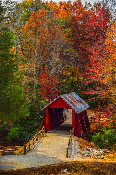istock Campbells Covered Bridge with Autumn Fall Colors 918978618