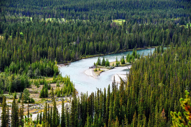 istock Bow River near Banff, Banff National Park,Alberta,Canada 918981370