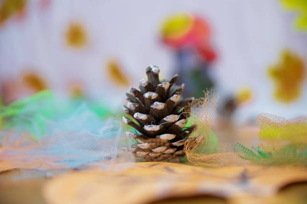 istock Cone background texture . brown pine cone isolated on white background . Selective focus . The pine cone with seeds . Disclosed pine cones 918982250