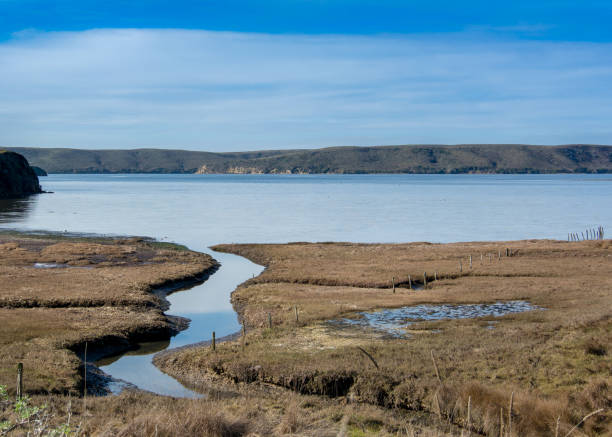 エステロにあるトレイルで河口がポイント レイズします。 - point reyes national seashore northern california beach california ストックフォトと画像