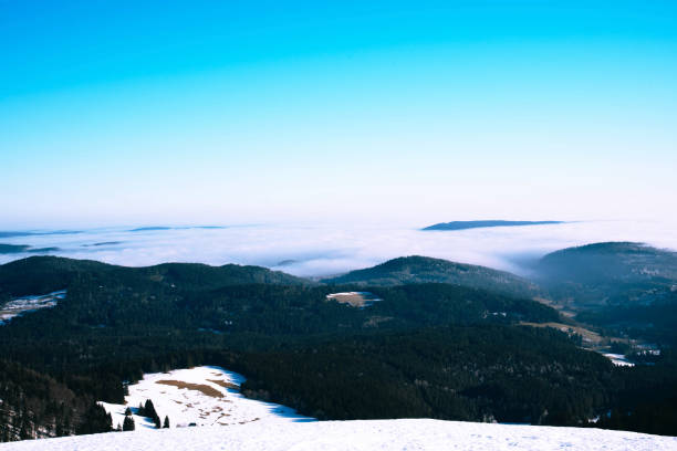 istock Winter landscape in the mountains 918989358