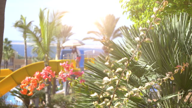 Tropical resort in 4k slow motion