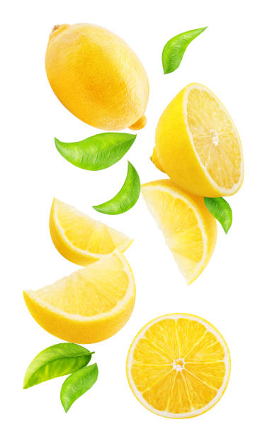 istock Collection of lemon fruits isolated on white 919002048