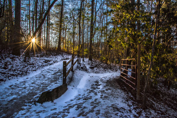 snowy dirt trail im dupont state forest, north carolina - wnc stock-fotos und bilder