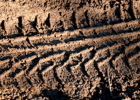 close up of cross pattern of tyre tracks impacting on wet damaged lawn