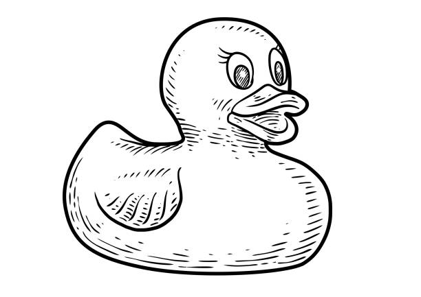 ilustraciones, imágenes clip art, dibujos animados e iconos de stock de ilustración de pato de goma, dibujo, grabado, tinta, arte lineal, vectores - rubber duck