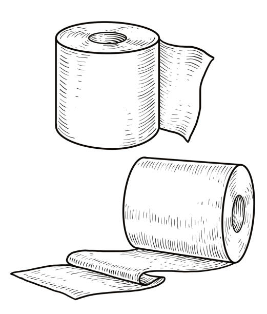 ilustrações de stock, clip art, desenhos animados e ícones de toilet paper illustration, drawing, engraving, ink, line art, vector - domestic issues