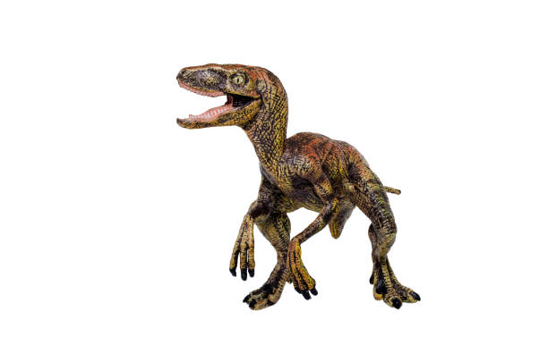 Toy Dinosaur stock photo