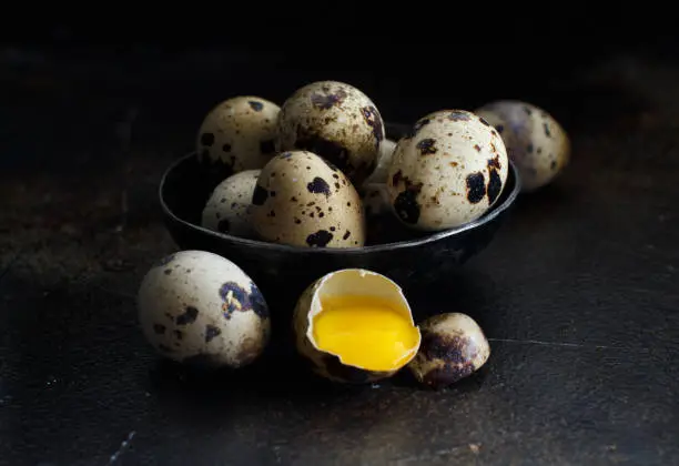 Quail eggs in a bowl on a dark background