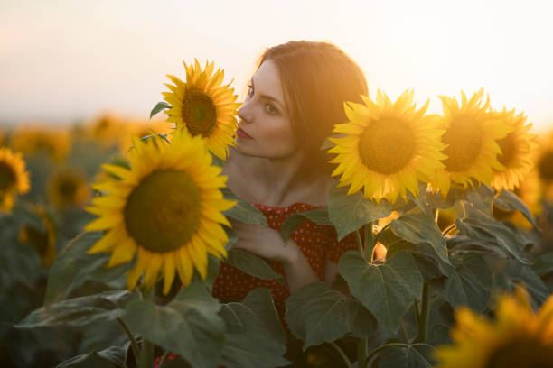 istock Remember It, The Smell Of The Summer 919040248