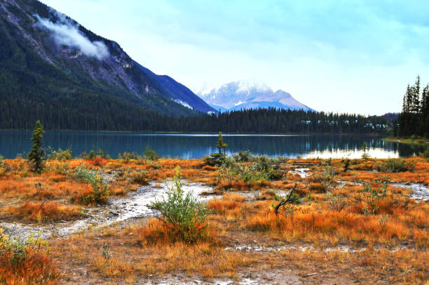 Emerald Lake is  surrounded by pine woodlands  and mountains.This lake is  located in Yoho National Park,British Columbia. Chalets of the Emerald Lake Lodge  hidden in the trees.Shrubs ate turning into autumn colors in late summer.
