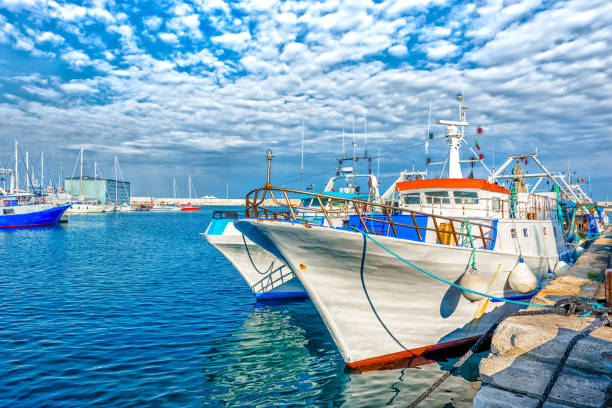 istock Boat moored at Monopoli port 919122558