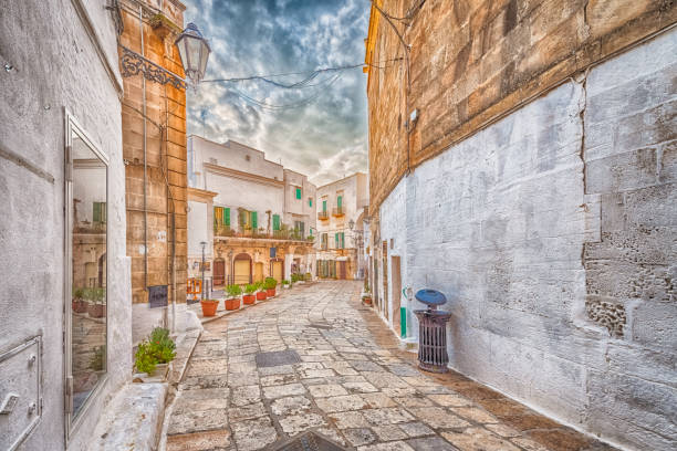 istock Alleyway in old white town Ostuni 919127008