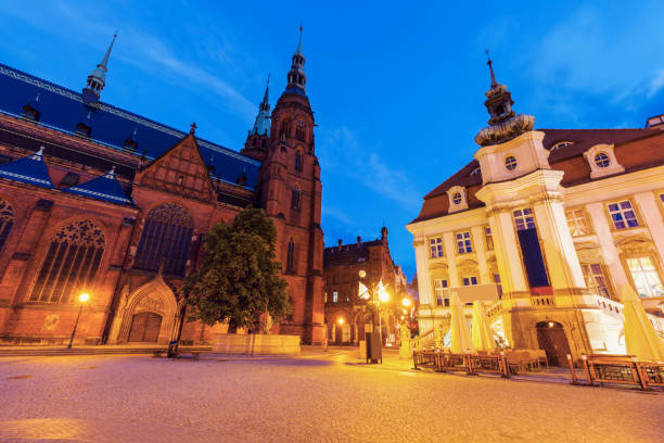 istock Cathedral and Town Hall in Legnica 919146658
