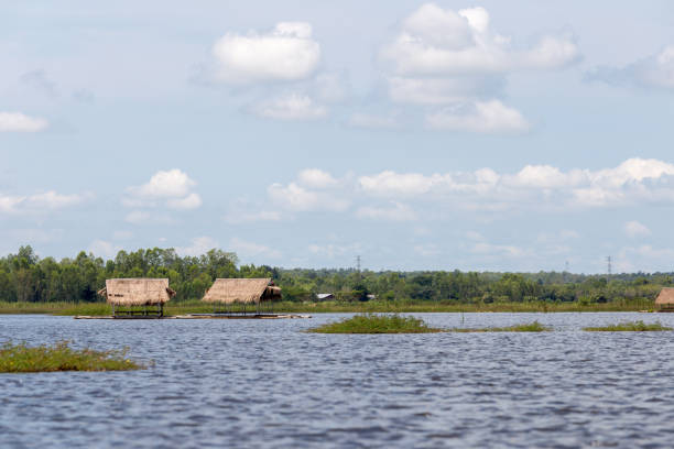 istock House raft floating in the lake 919151024