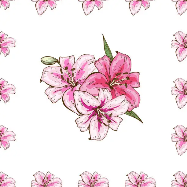 Vector illustration of Seamless pattern with pink lilies flower on white background. Vector set of blooming floral for wedding invitations and greeting card design.
