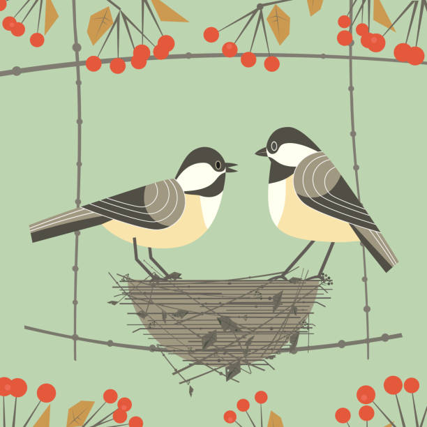 ilustraciones, imágenes clip art, dibujos animados e iconos de stock de pareja de pájaro chickadee - birdhouse animal nest bird tree