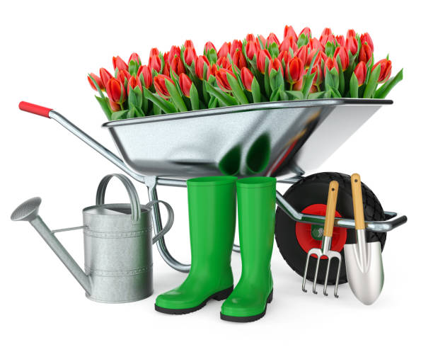 ferramentas de jardinagem  - gardening shovel digging flower bed - fotografias e filmes do acervo