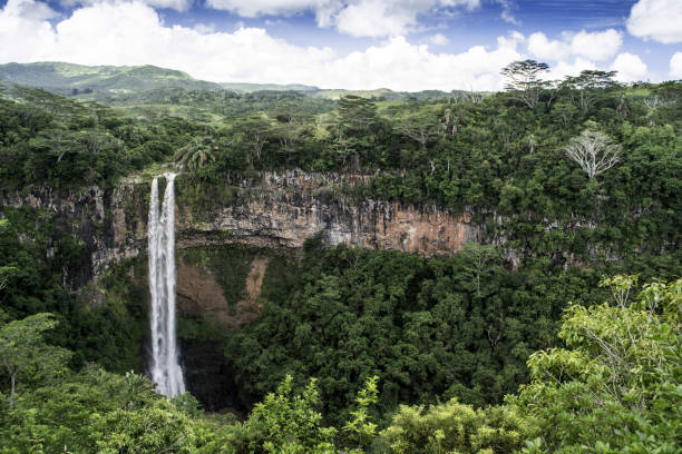 istock Dramatic waterfall of Chamarel in the national park 919198422